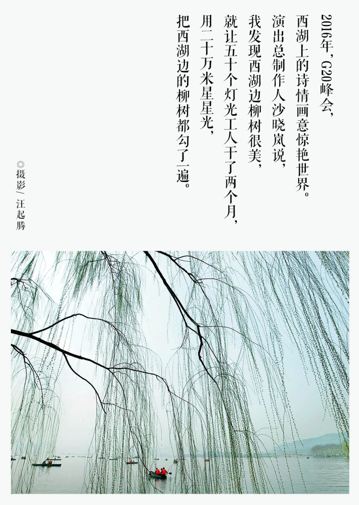 西湖连夜栽回7棵柳树_西湖栽柳树回收电话_杭州西湖的柳树